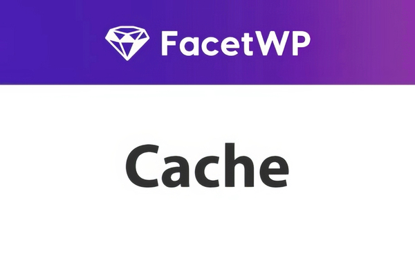 FacetWP Caching