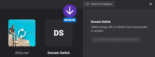Slider Revolution Domain Switch Addon 1.0.1