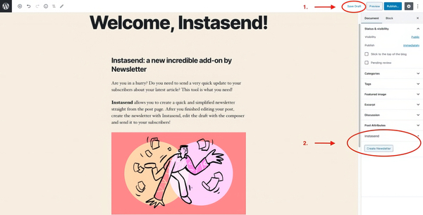 Newsletter Instasend