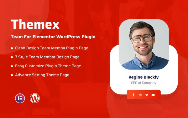 Themex Team For Elementor 1.0.1
