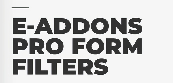E-Addons Pro Form Filters 2.0.4