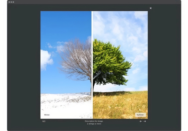 Before and After Image Slider Pro 1.4