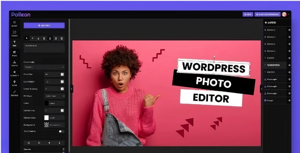 Palleon - WordPress Image Editor