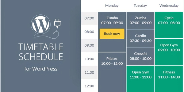 Timetable Responsive Schedule For WordPress