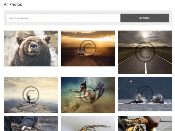 Sell Media Watermark 2.0.4