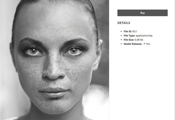 Sell Media Model Release 1.1