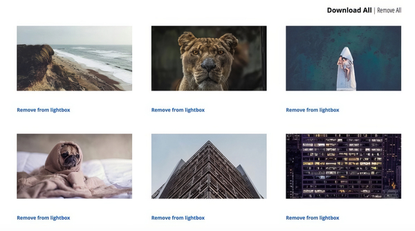 Sell Media Download Lightbox