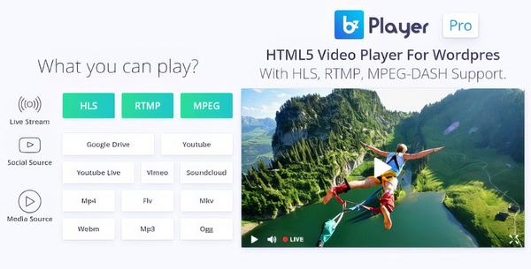 bzplayer Pro – Live Streaming Player WordPress 2.1