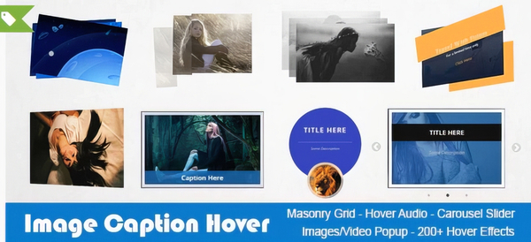 Image Caption Hover Pro WordPress Plugin