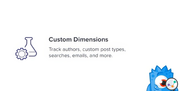 MonsterInsights Custom Dimensions Addon 2.1.1