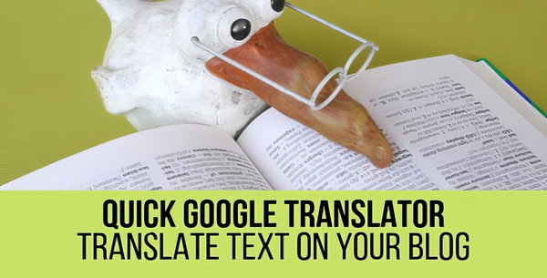 Quick Google Translator Plugin for WordPress 1.0.4