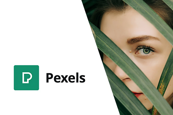 Pexels - Import Free Stock Images into WordPress
