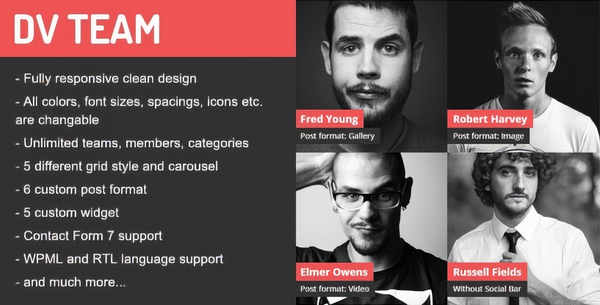 DV Team Responsive Team Showcase – WordPress Plugin 2.2