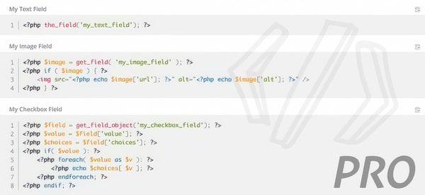ACF Theme Code Pro 2.5.6