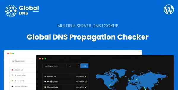 Global DNS WP Plugin