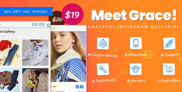 Instagram Feed Gallery WP Plugin