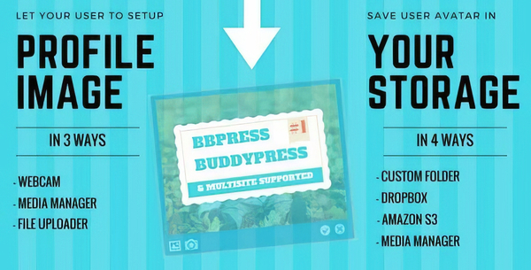 User Avatar Plugin for WordPress 5.0.1