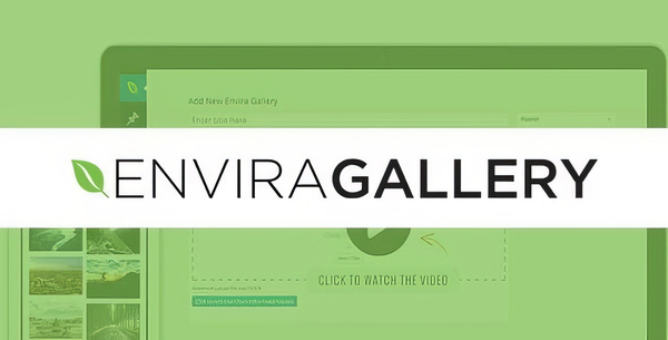 Envira Gallery Pagination Addon 1.9.0