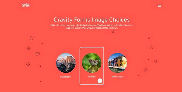 Gravity Forms Image Choices 1.4.27