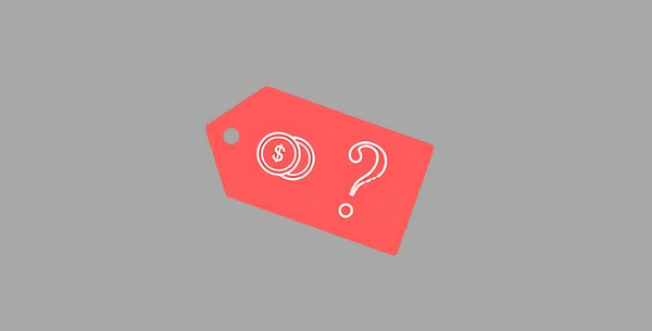 Paid Member Subscriptions Pay What You Want Addon 1.0.7