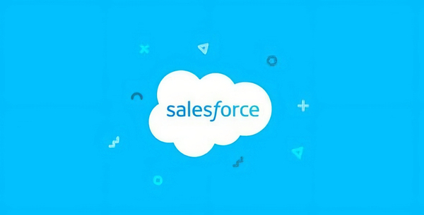 WP ERP Salesforce Contacts Sync 1.1.1