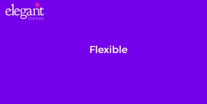 Elegant Themes Flexible 2.6.14