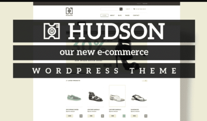 Tesla Themes Hudson WordPress Theme 12.13