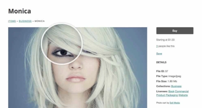 Graph Paper Press Immersion WordPress Theme 1.2.2
