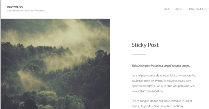 Graph Paper Press Photolog Pro WordPress Theme 1.0.2
