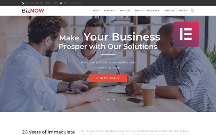 Biznow – Business Consulting WordPress Elementor Theme 1.0.0