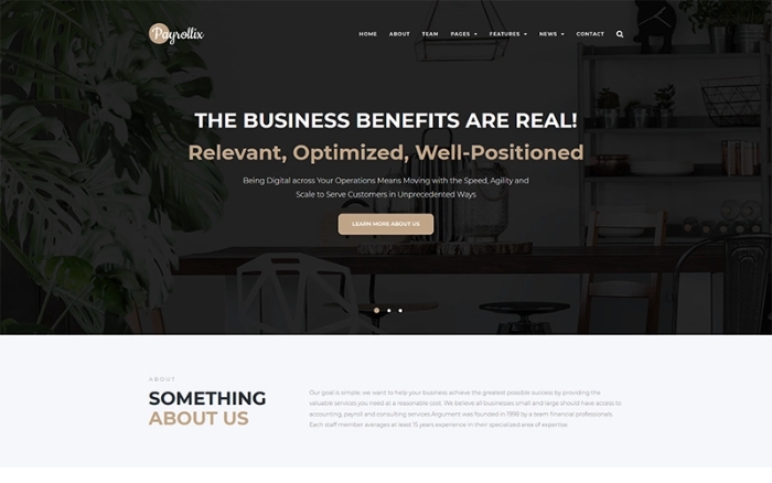 Payrollix – Internet Business Accounting WordPress Theme 1.0.1