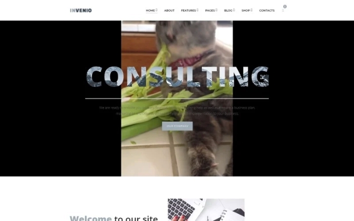 Invenio β Classy Financial Advisor WordPress Theme 1.0.0