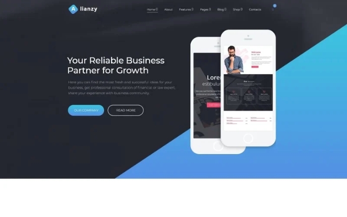 Alianzy – Business Partnership WordPress Elementor Theme 1.0.0