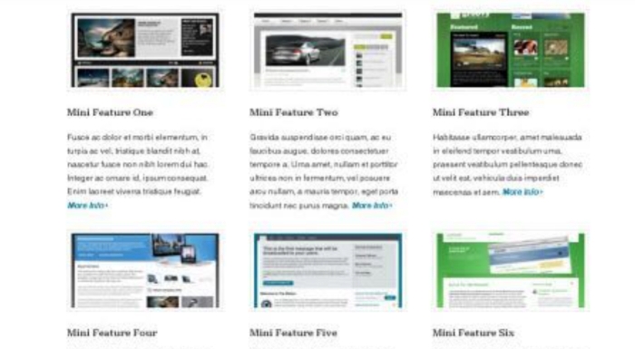WooThemes Feature Pitch Premium Theme 1.5