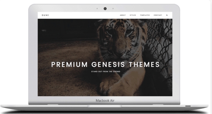 ZigZagPress Dune WordPress Theme 1.2