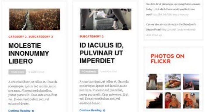 WooThemes Daily Edition Premium Theme 1.6.9