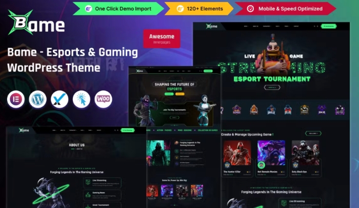 Bame – eSports and Gaming WordPress Theme 1.0.0