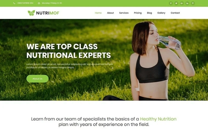 Nutrimof – Nutritional & Health WordPress Theme 1.0.0