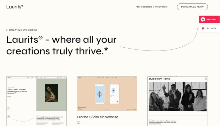 Laurits – Portfolio and Agency Theme 1.0
