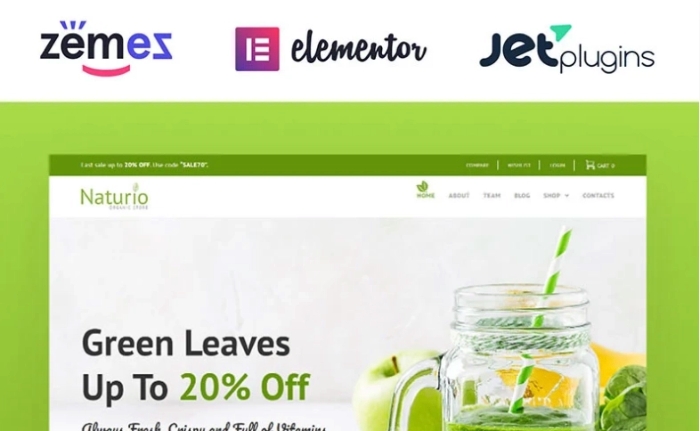 Naturio Food Store Template Elementor WooCommerce Theme 1.0.0