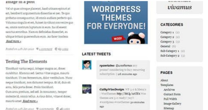 WooThemes Coda Premium Theme 1.0.12