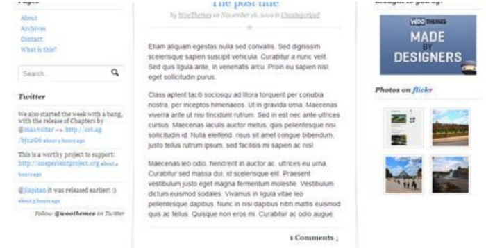 WooThemes Chapters Premium Theme 1.0.8