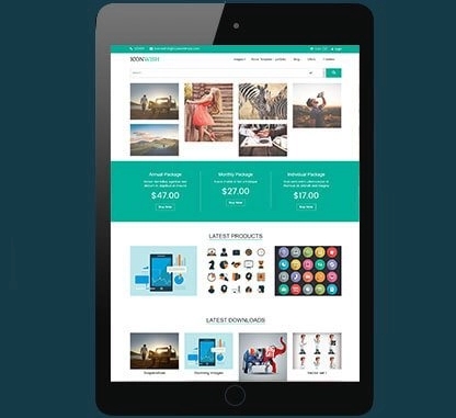 CyberChimps Iconwish WordPress Theme 1.0