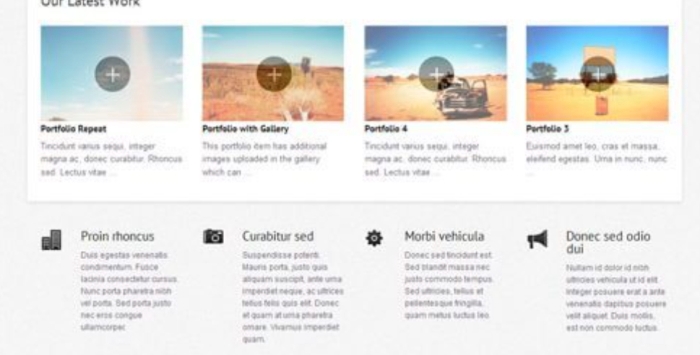 WooThemes Olya Premium Theme 1.2.22