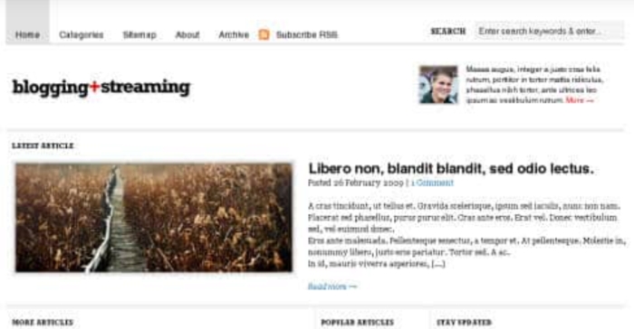 WooThemes Blogging Stream Premium Theme 2.7.1