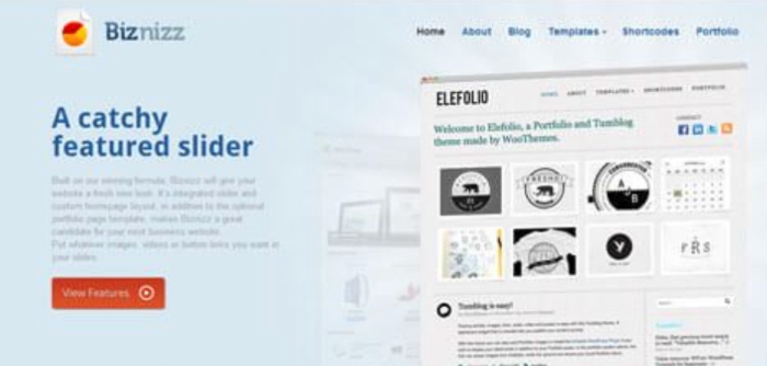 WooThemes Biznizz Premium Theme 1.6.9