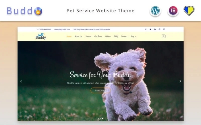 Buddy - Pet Service Website Elementor WordPress Theme 2.1.0