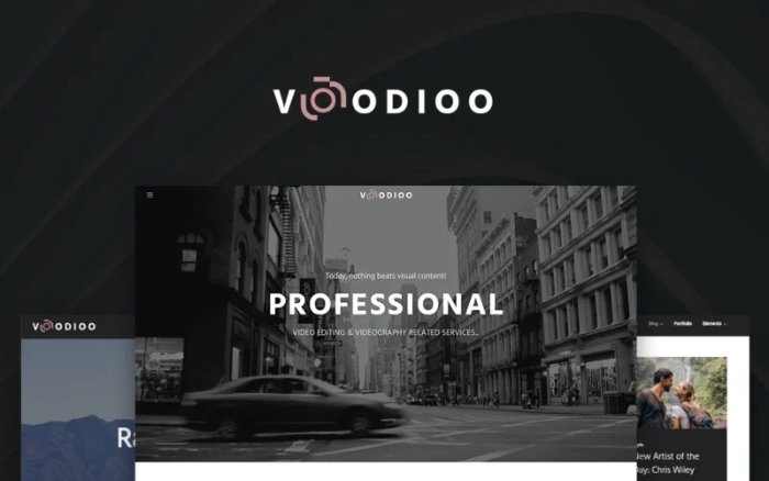Voodioo – Videographer Responsive WP Theme 1.0.0