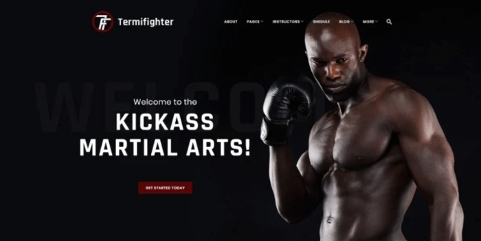 Termifighter – Martial Arts Club Responsive WP Theme 1.0.0