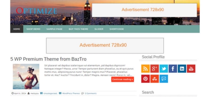 Optimize Pro WP Theme by insertcart 3.2